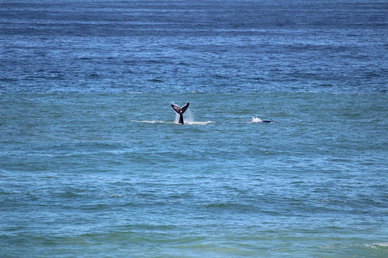 Orca House Appartement Yzerfontein Buitenkant foto