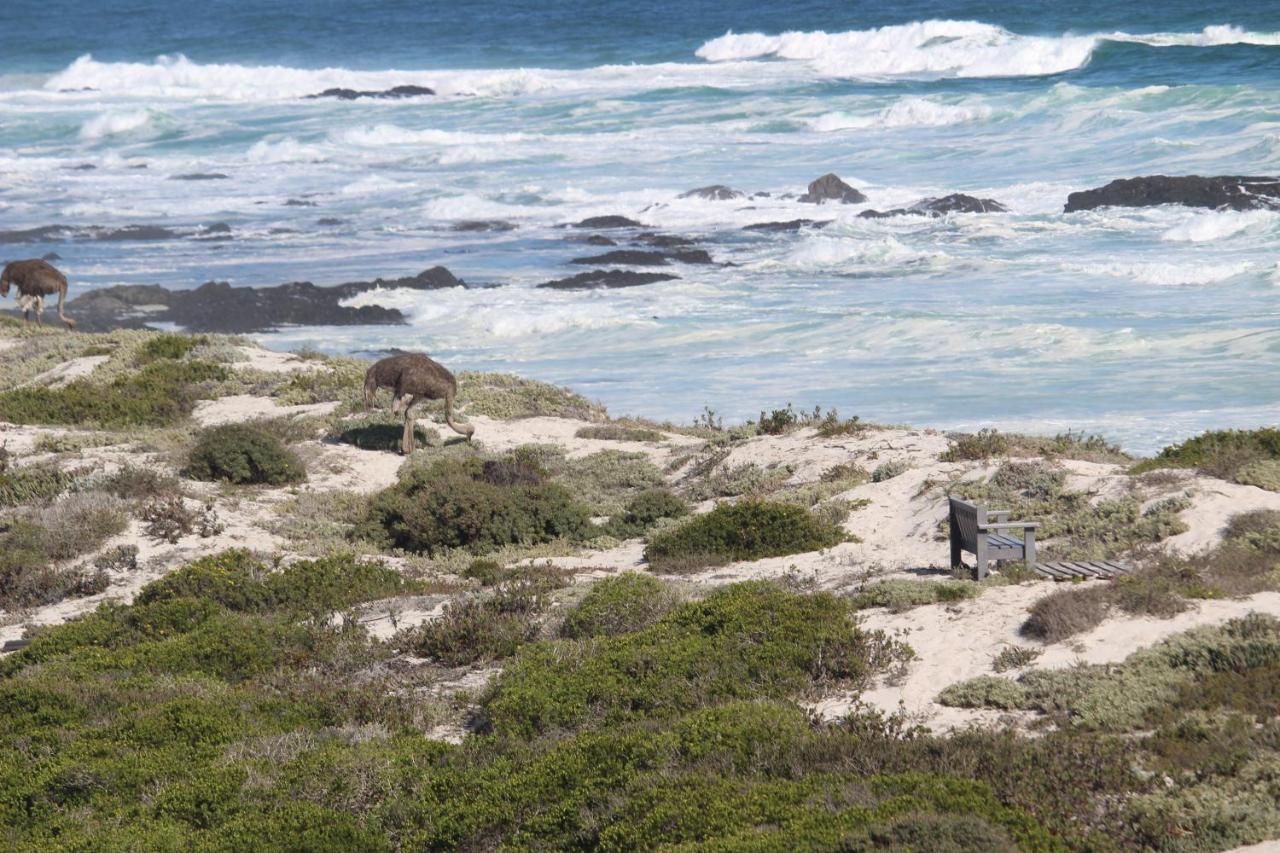 Orca House Appartement Yzerfontein Buitenkant foto